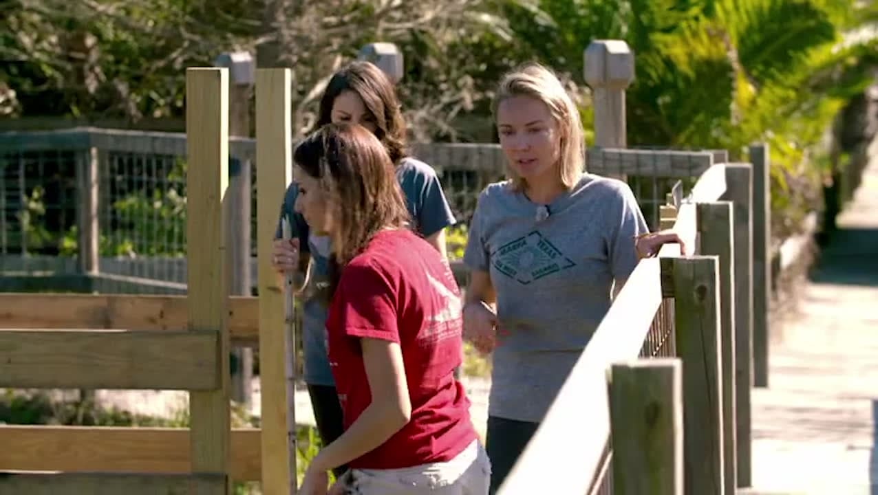 Här tvingas Carina Berg avbryta inspelningen