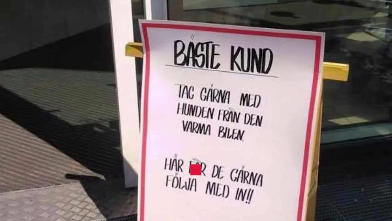 Varuhuset hyllas – välkomnar hundar med skylt