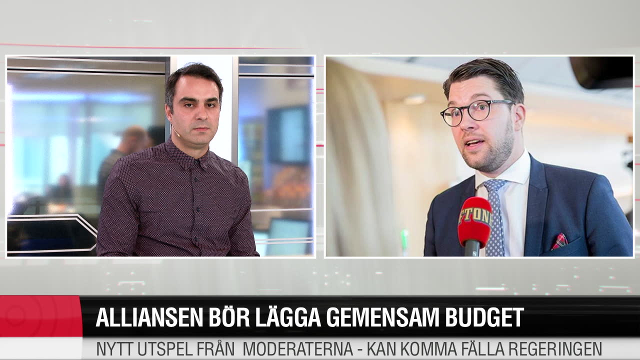 Jimmie Åkesson om Moderaternas utspel