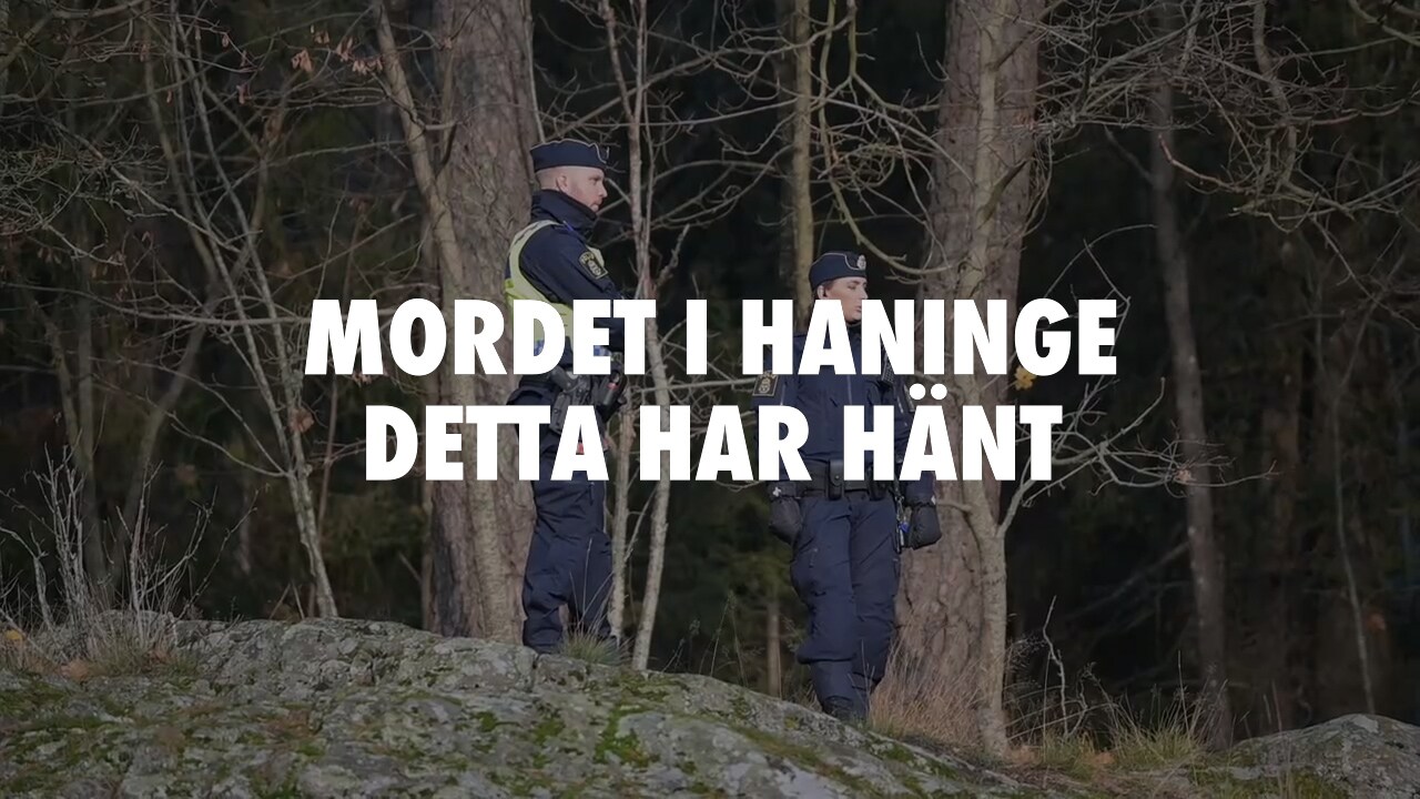 Misstänks ha mördat sin sambo - med svärd