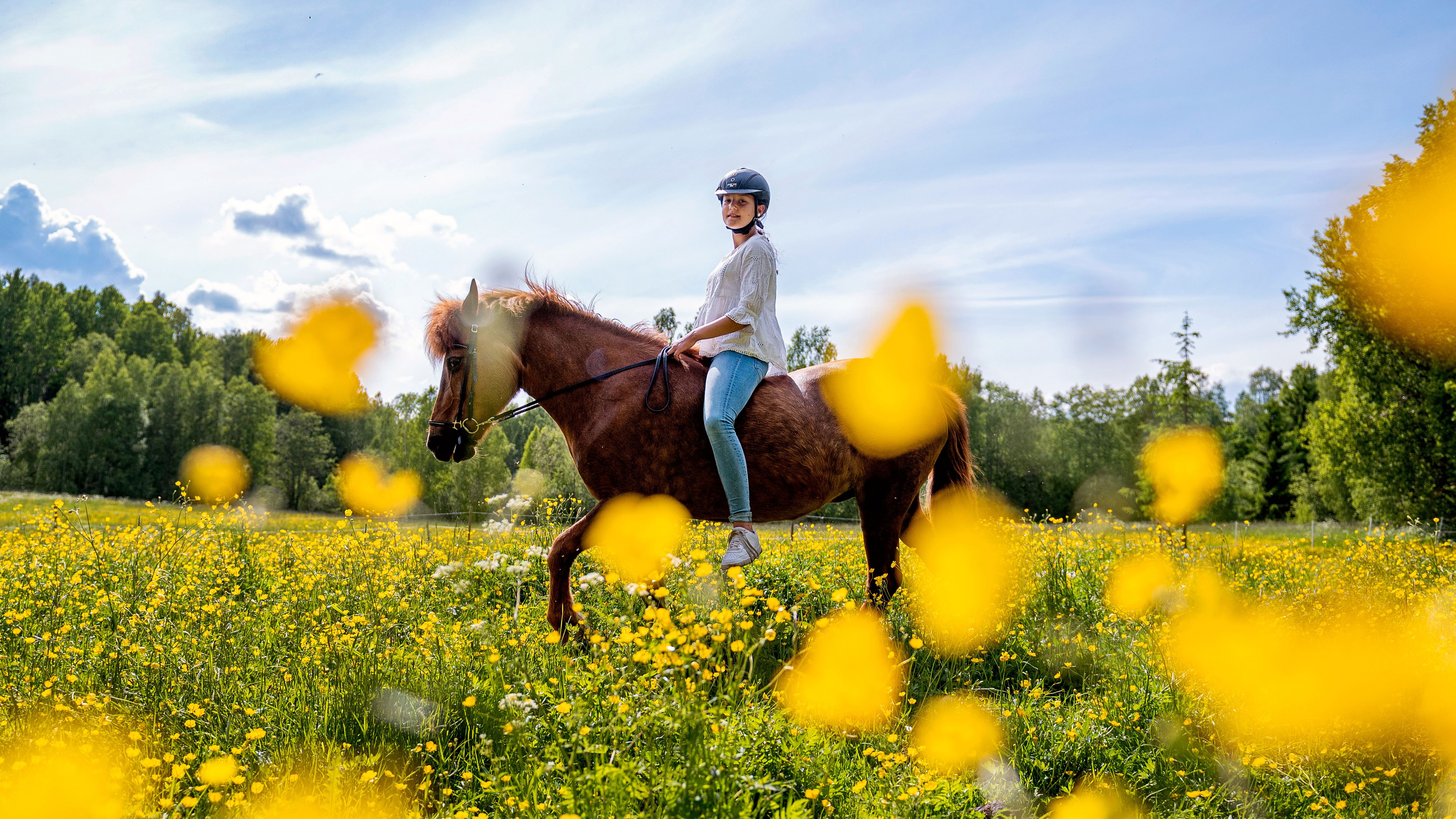 Långt ute i skogen red Amina för att rädda pappans liv