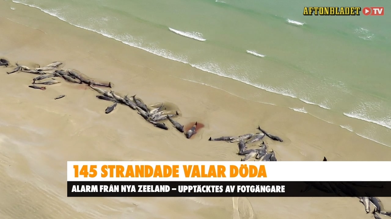 Fotgängare fann det hemska på stranden