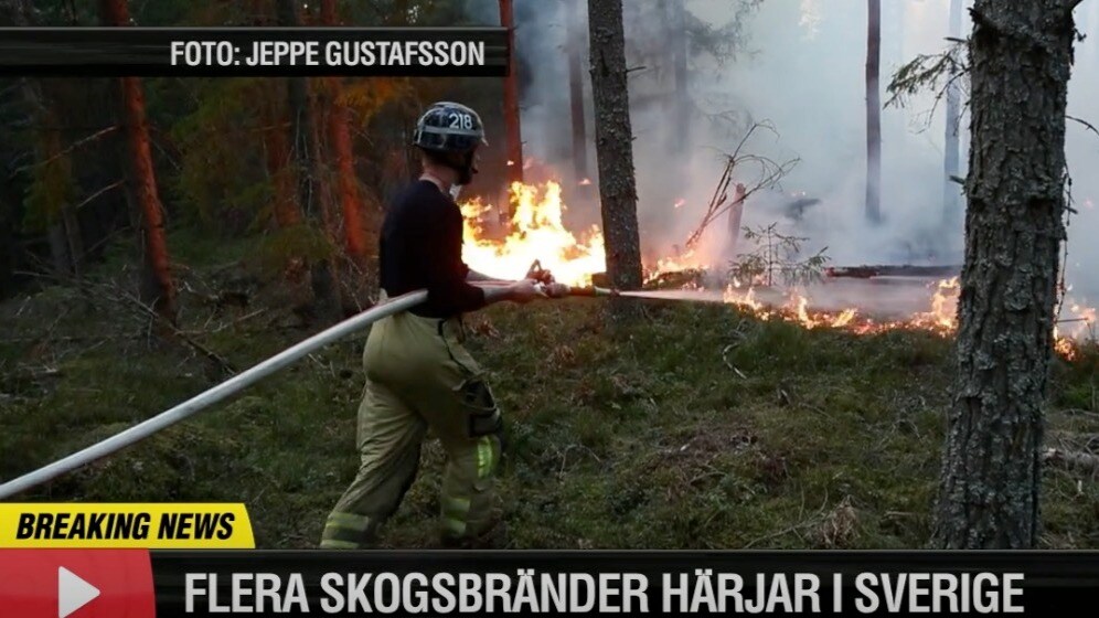 Skogsbränder härjar runt om i landet – torrt i skog och mark