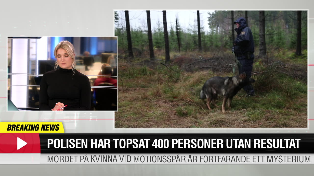 Polisen har topsat 400 personer i mördarjakten