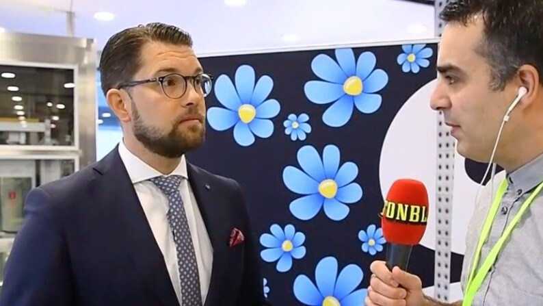 Sverigedemokraterna tappar hos männen