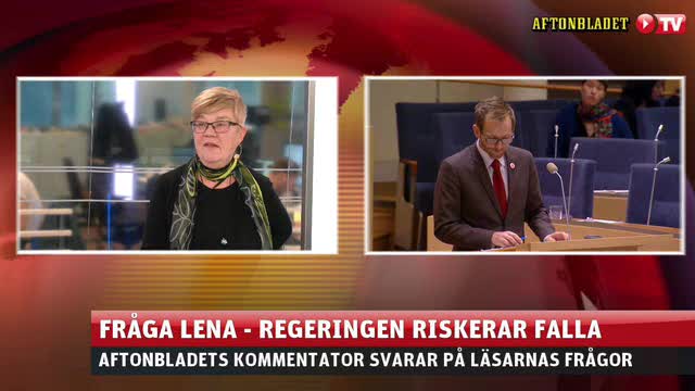 Lena Mellin: ”Då måste Stefan Löfven avgå”