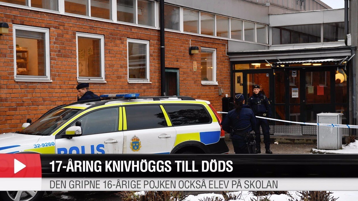 17-åring knivhöggs till döds