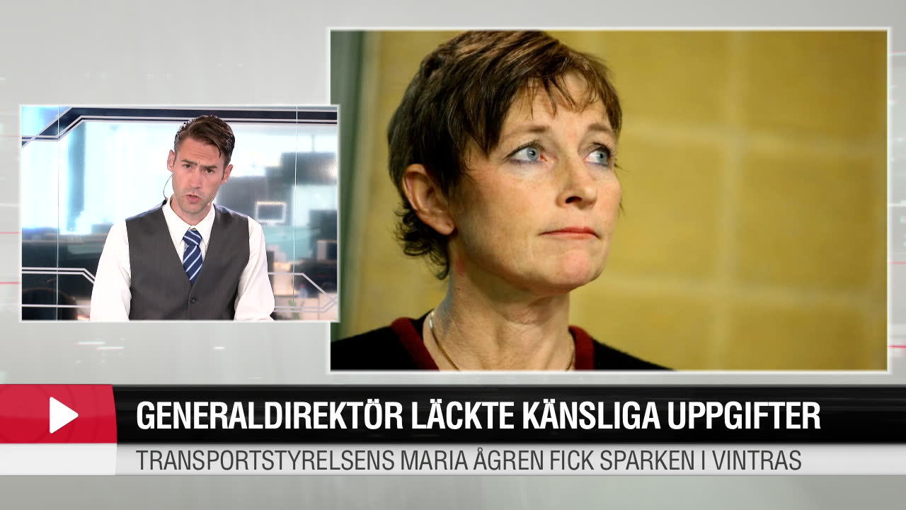 Sparkad generaldirektör läckte känsliga uppgifter