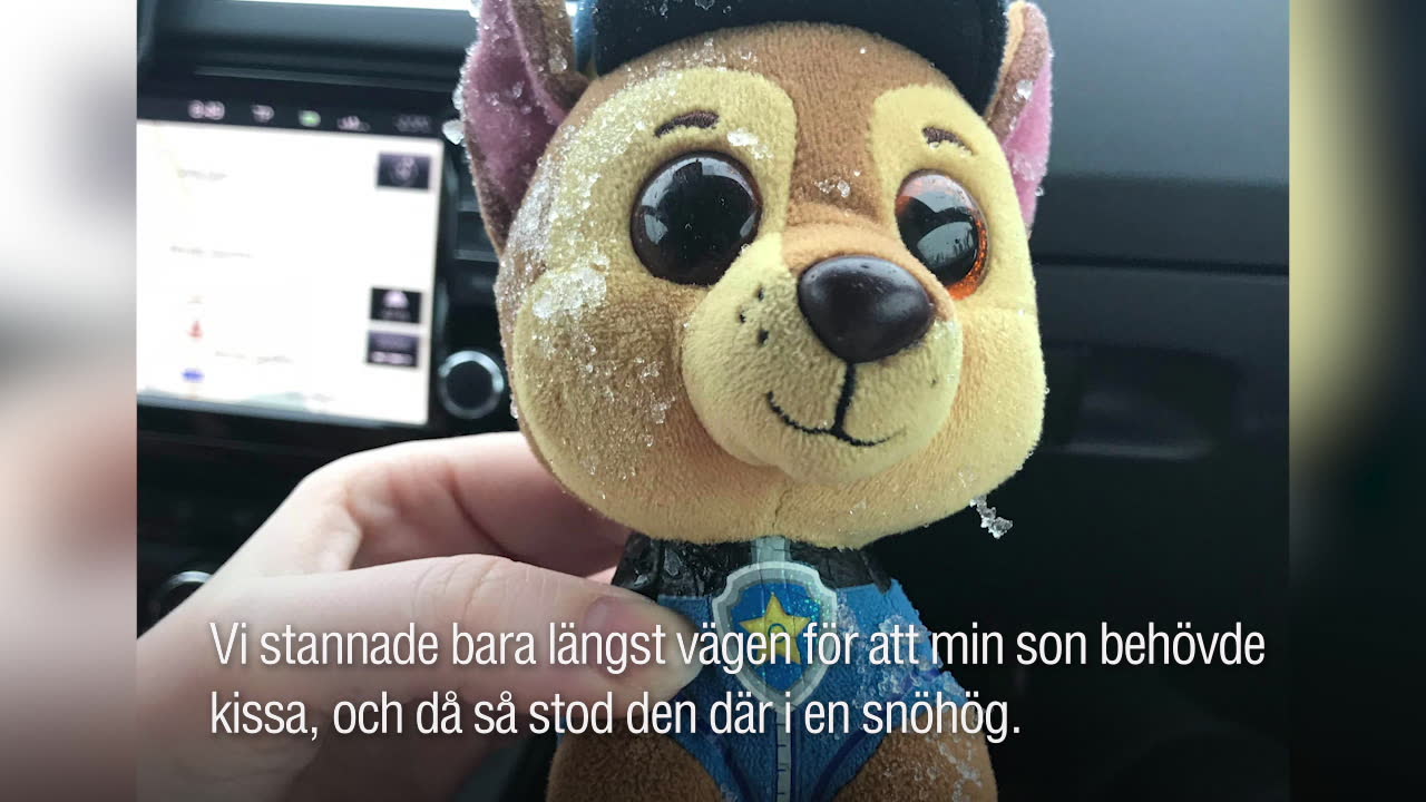 Hjälp nallen att hitta hem