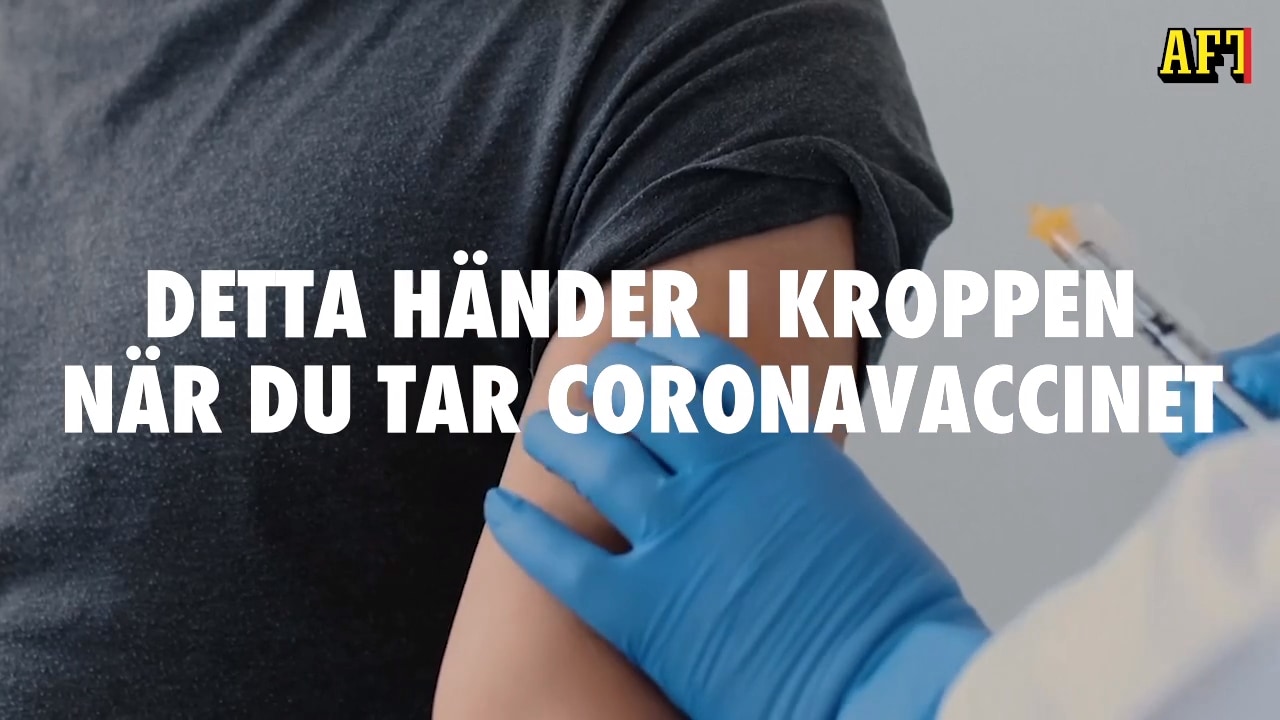 Det här händer i kroppen när du tar vaccinet mot covid-19