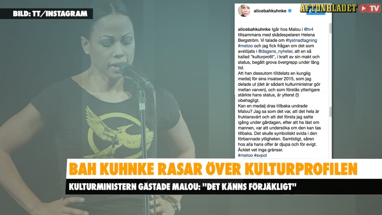 Bah Kuhnke rasar över Kulturprofilen