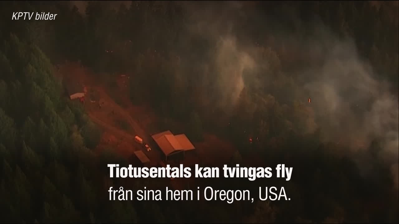 Se de enorma skogsbränderna i Oregon