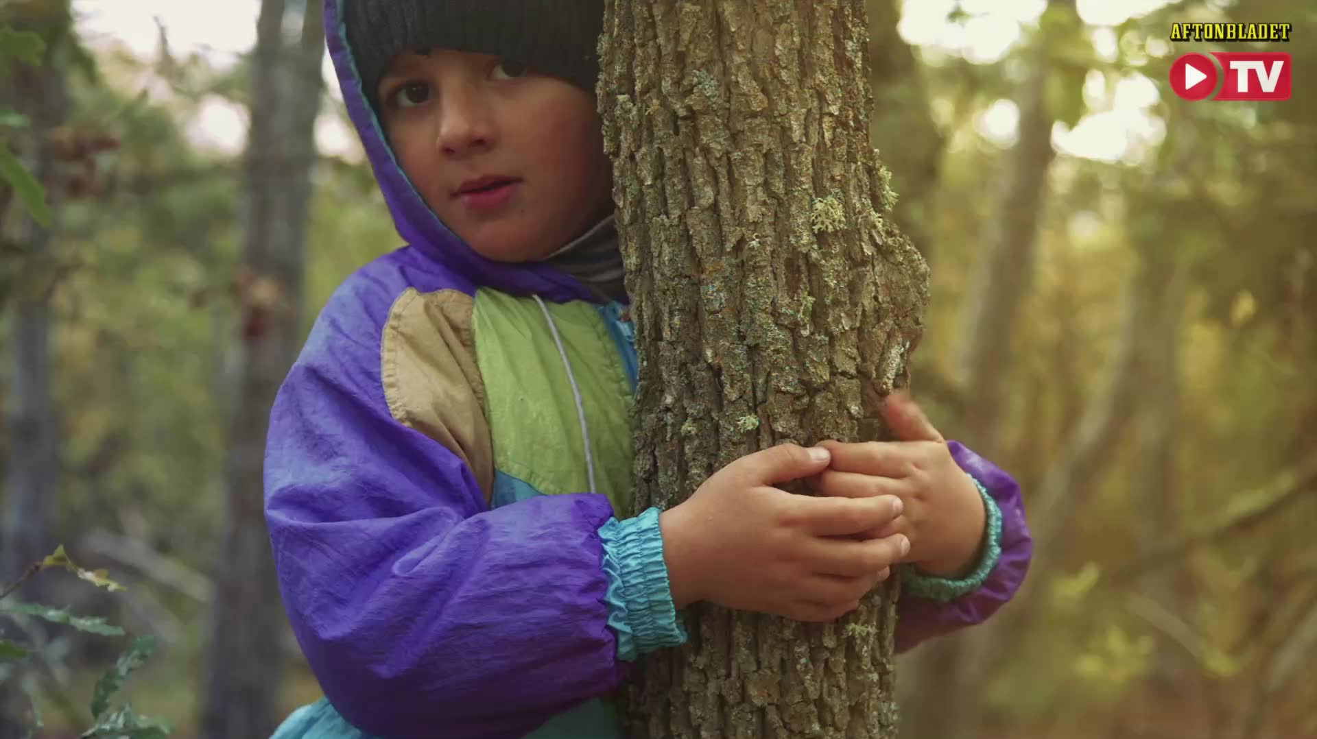 Så gör du om du går vilse i skogen