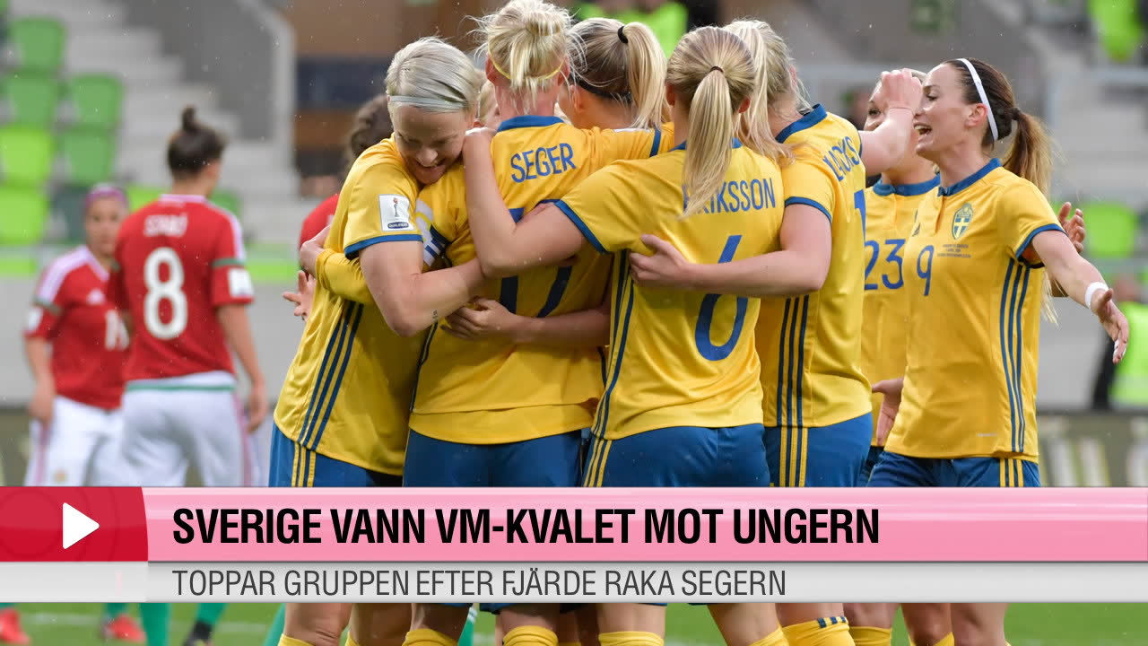 Fagerlund: ”Det var en märklig match”