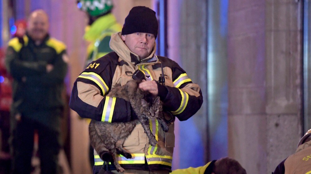 Flera katter räddades från lägenhetsbrand