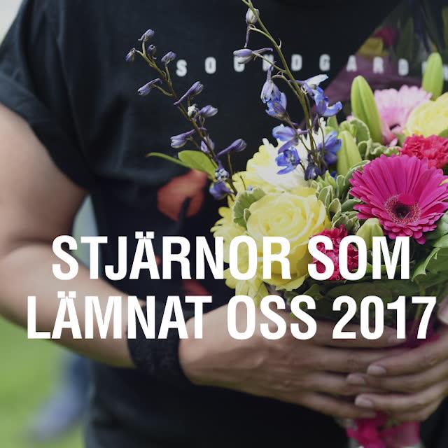 Här är stjärnorna som lämnat oss 2017