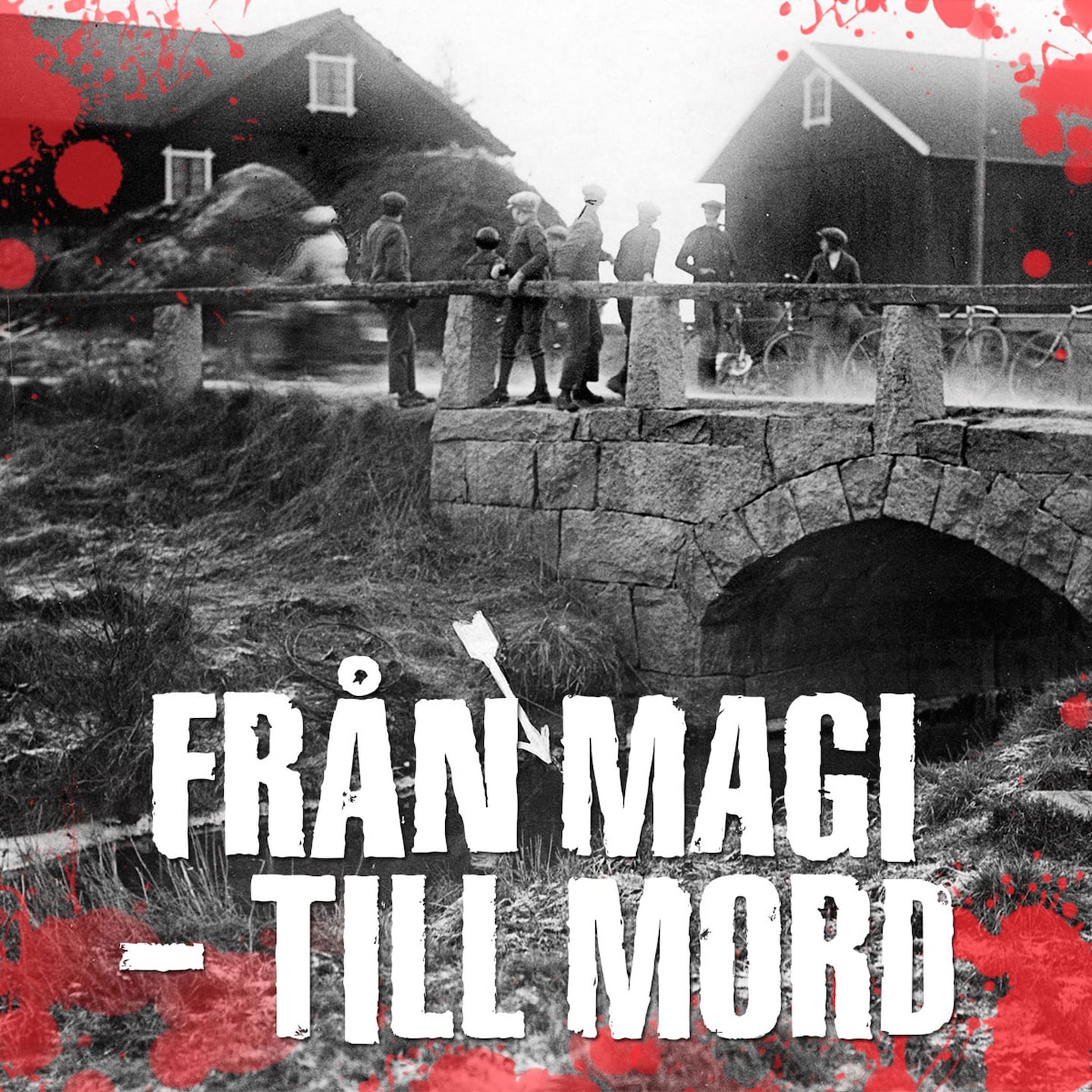 Brotten som skakade Sverige - Salaligan episode artwork