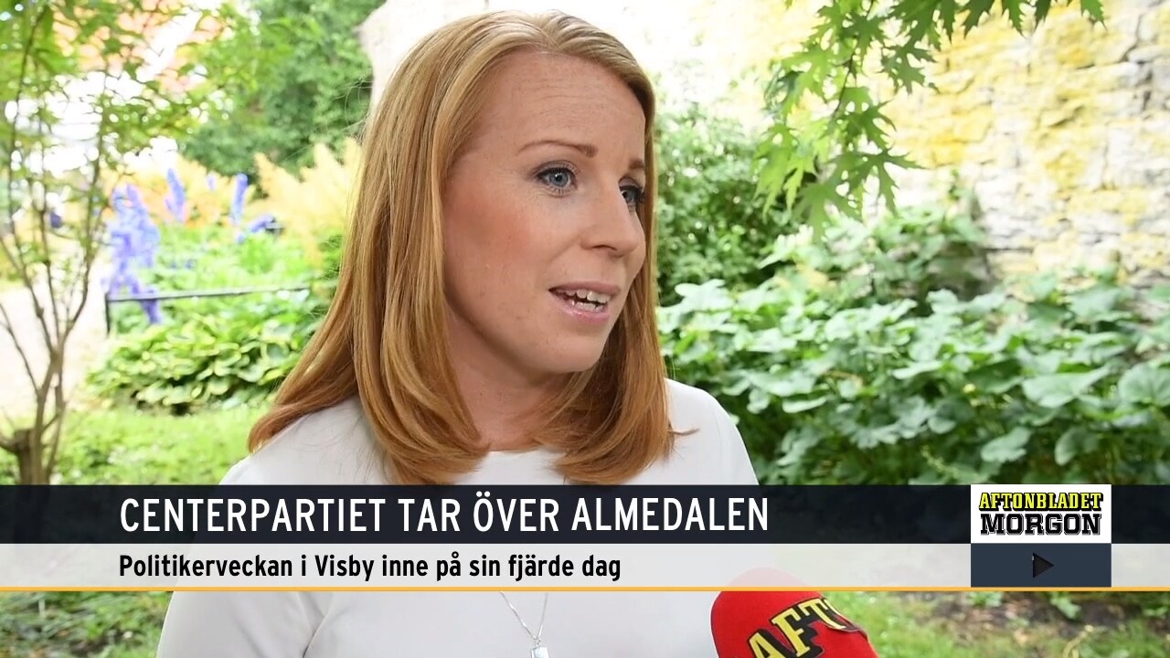 ”Jag hoppas att Kristdemokraterna och Moderaterna väljer en annan väg”