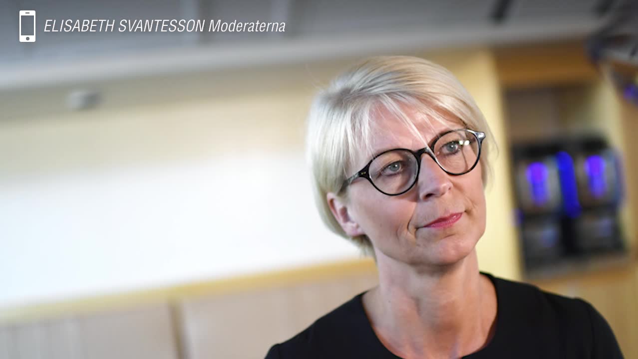 Svantesson svar till attacken