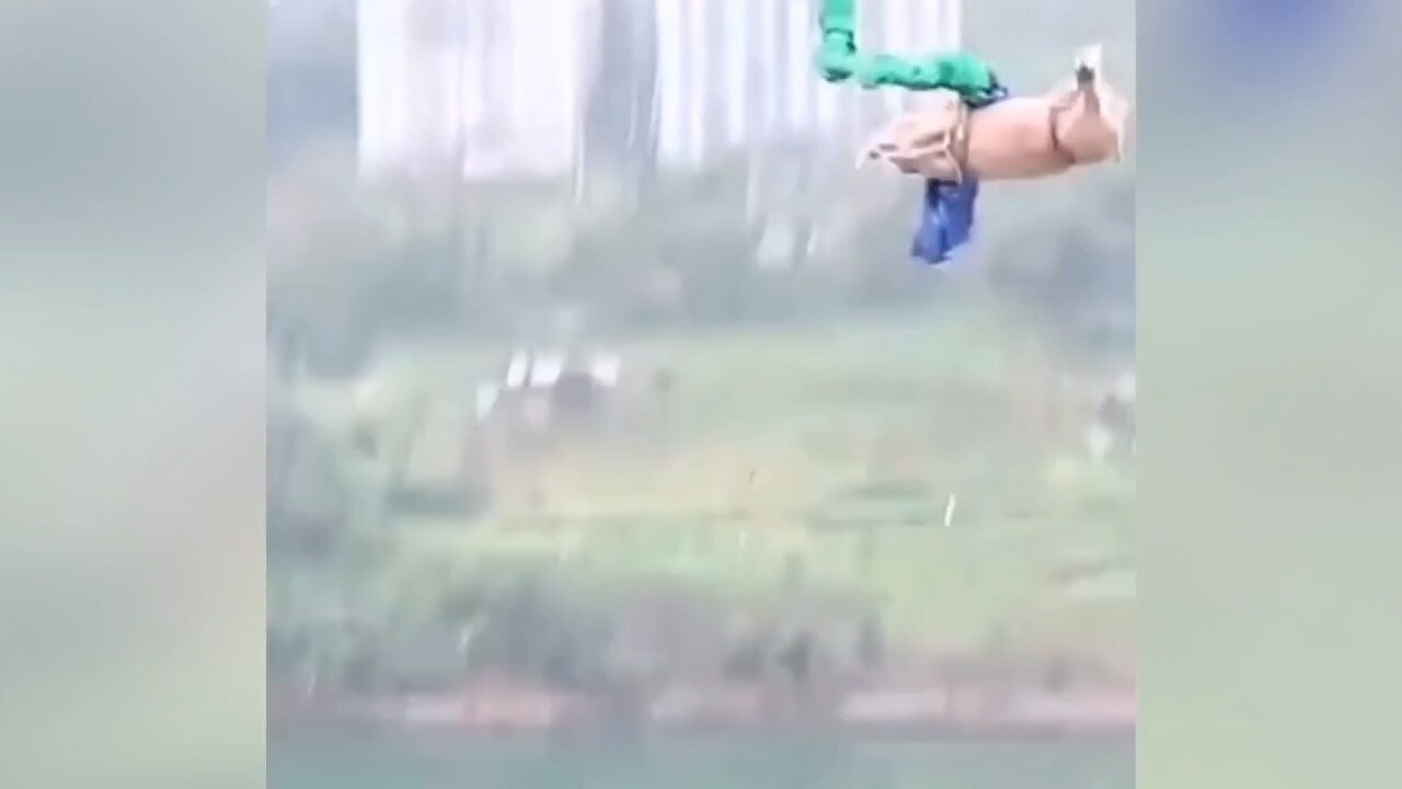 Nöjespark tvingade gris hoppa bungyjump – får hård kritik