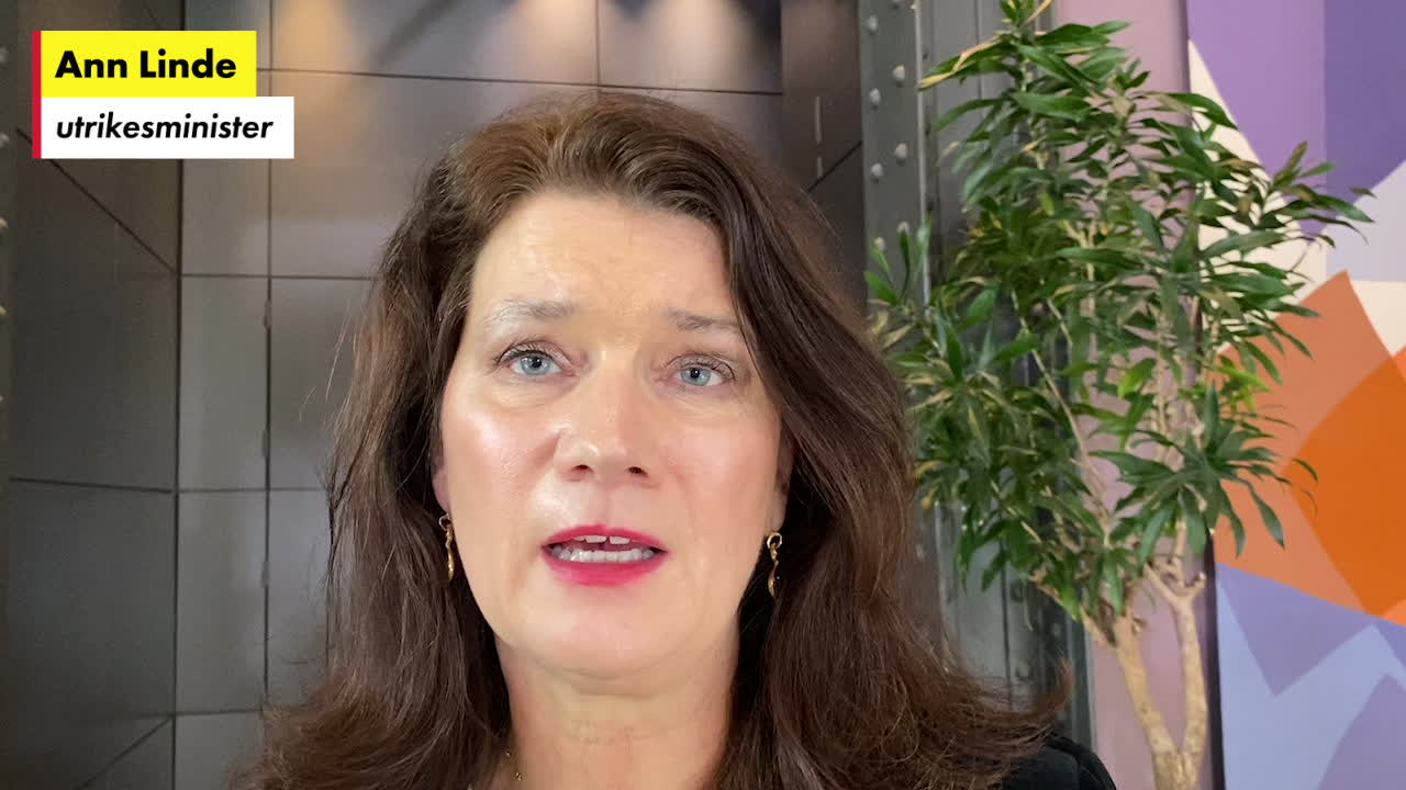 Ann Linde: ”Det kan bli en full invasion”