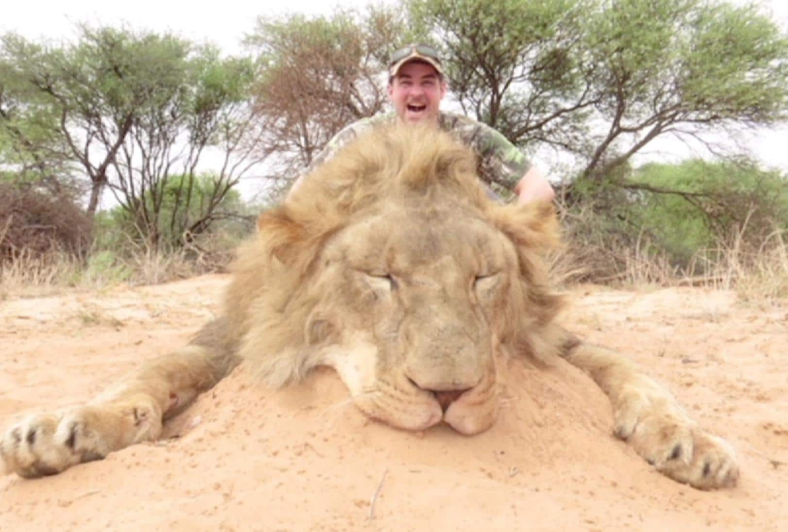 SD-politikern sköt lejon och åt upp det