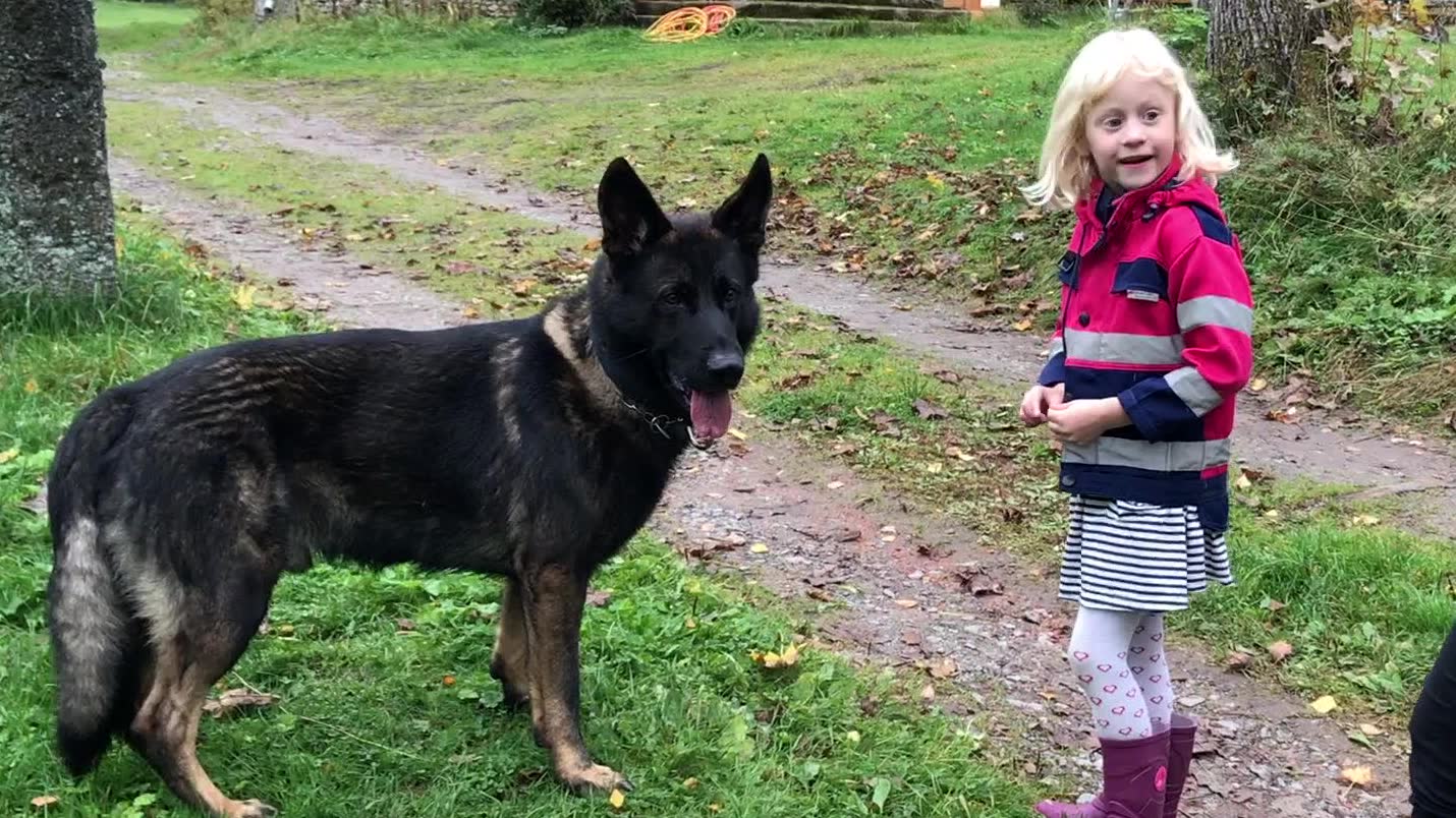 Attack räddade Ellenors liv – nu återförenas de