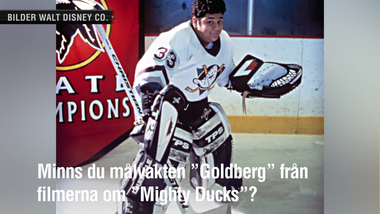 ”Mighty Ducks”-stjärnan döms till fängelse