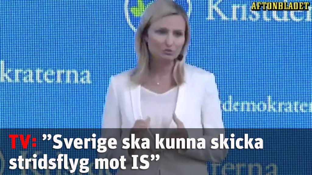 ”Sverige ska kunna skicka stridsflyg mot IS”