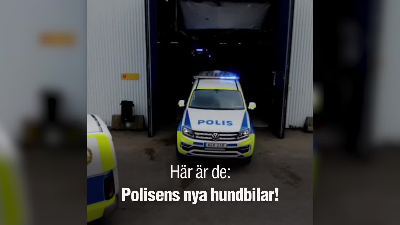 Här rullar de ut: Polisens nya hundbilar