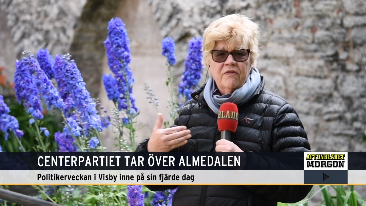 ”Annie Lööf är nog rädd för ett konservativt block”