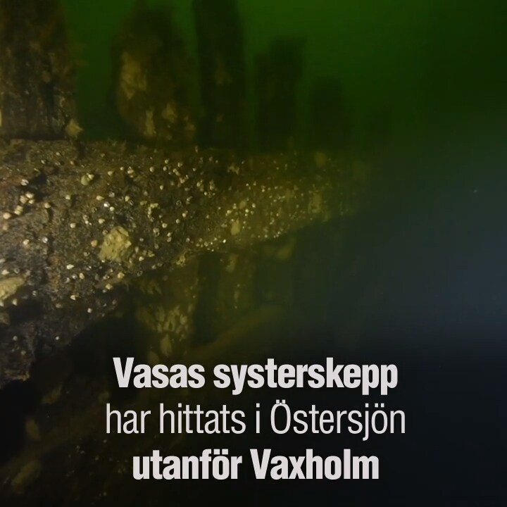 Vasas systerskepp har hittats i Östersjön