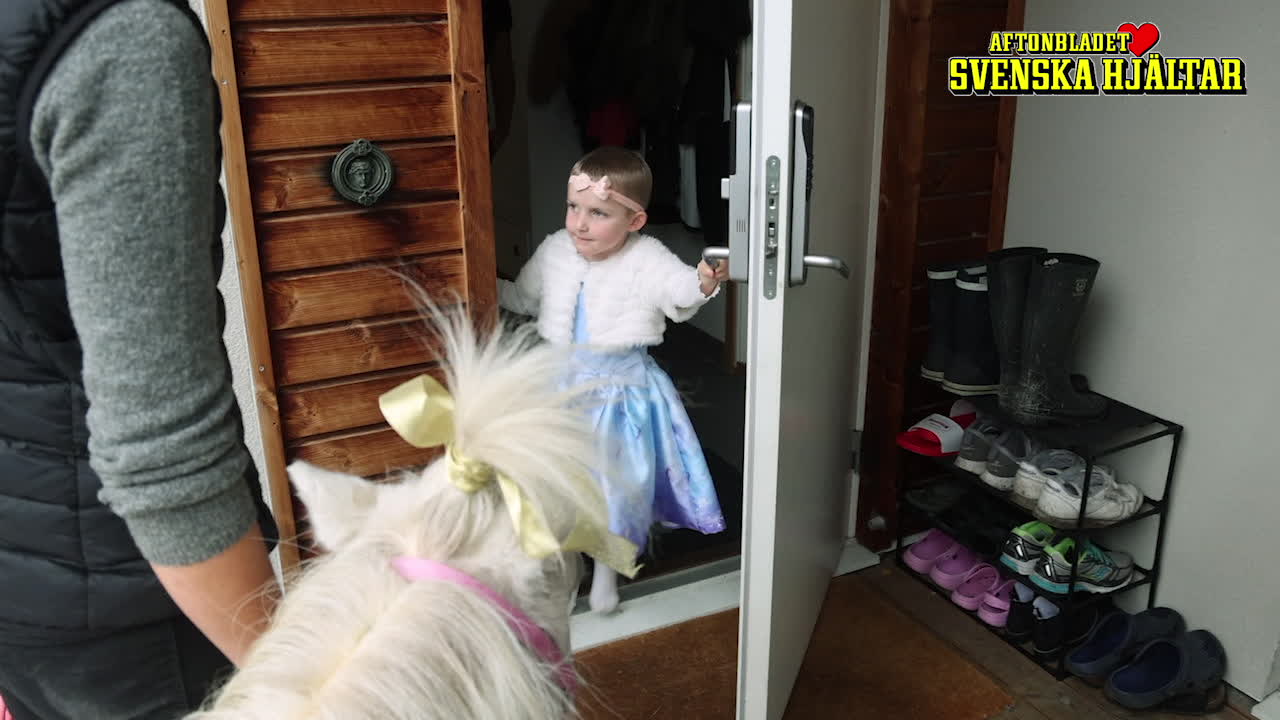 Följ med när sjukhushästen och hans vänner träffar Nora