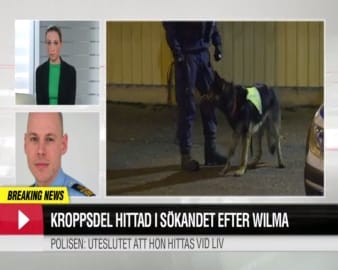Hör polisen berätta om fyndet i sökandet efter Wilma