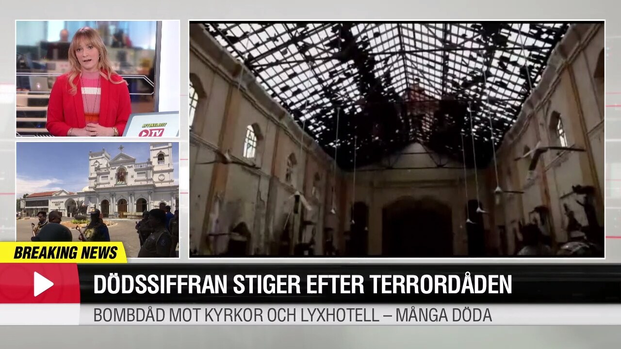 Dödssiffran efter terrordådet har stigit till 290