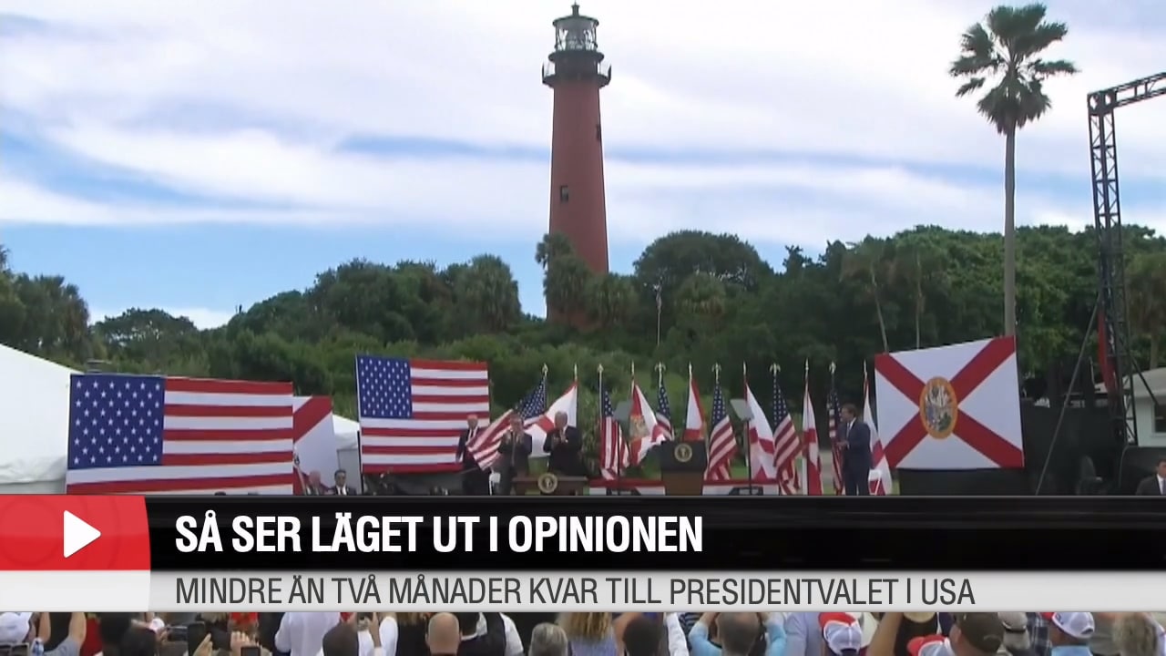 Wolfgang Hansson om läget i opinionen: ”Spelar ingen roll vad Trump gör”