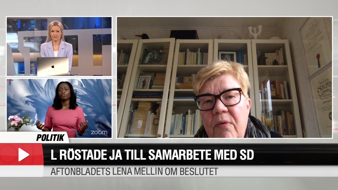 Lena Mellin om Liberalernas beslut: "Har alltid varit ett borgerligt parti"