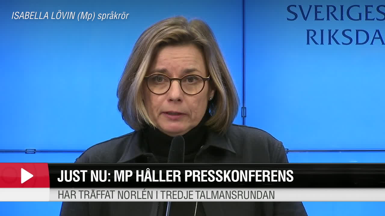Lövin till talmannen: "Ge oss mer tid"