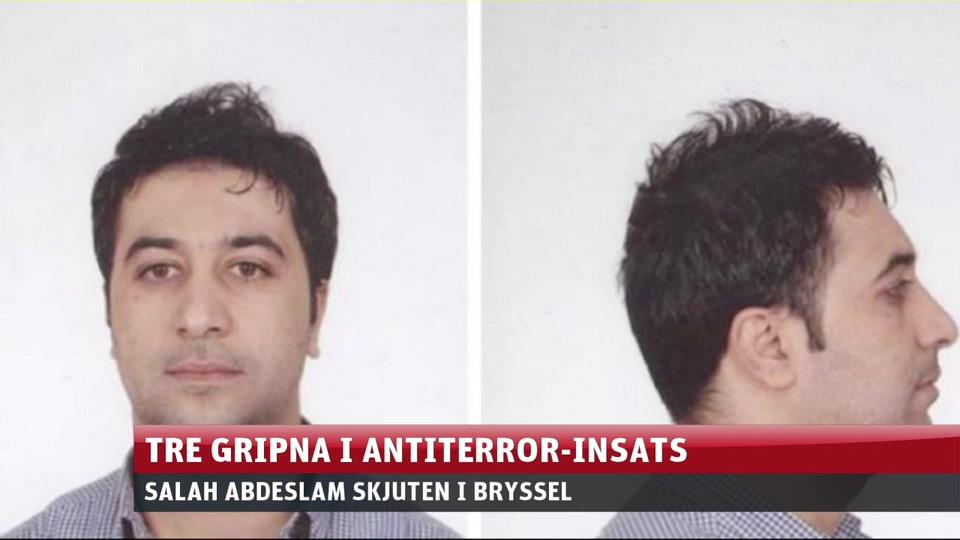 Misstänkte terroristen bodde i Sverige