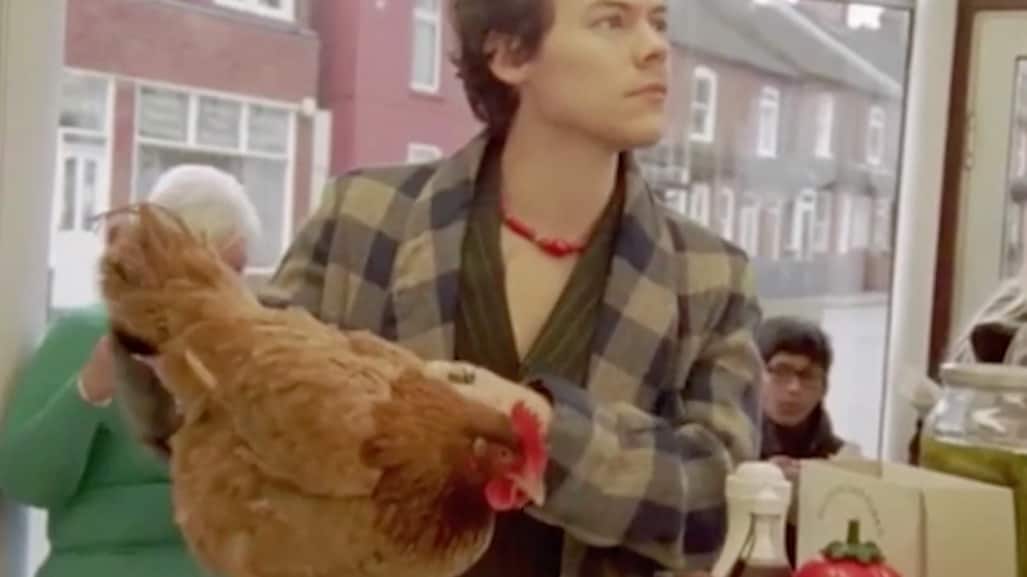 Stjärnans udda drag med ”uttråkade” djuret