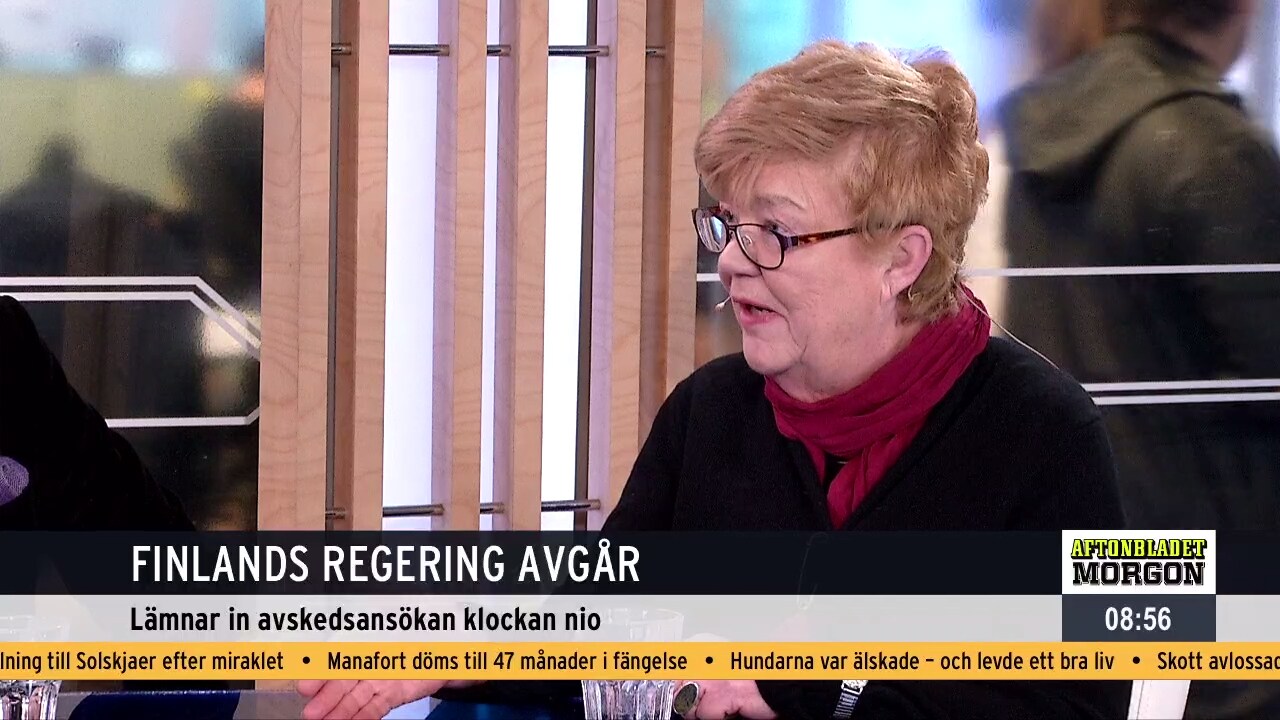 Finlands regering avgår