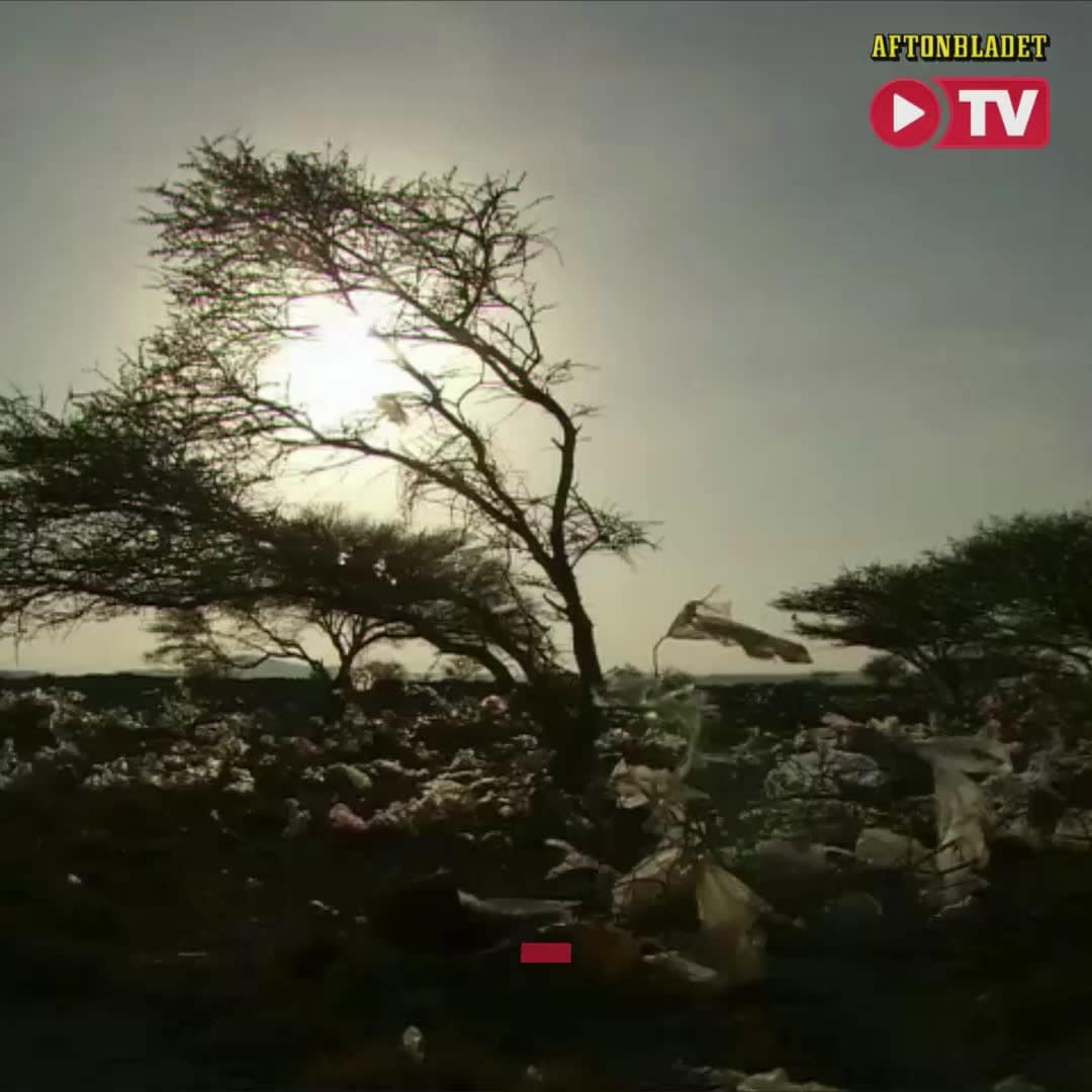 Lagen som ska rädda miljön