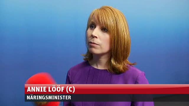 Lööf: ”Slarvigt uttryckt om Göran Persson”