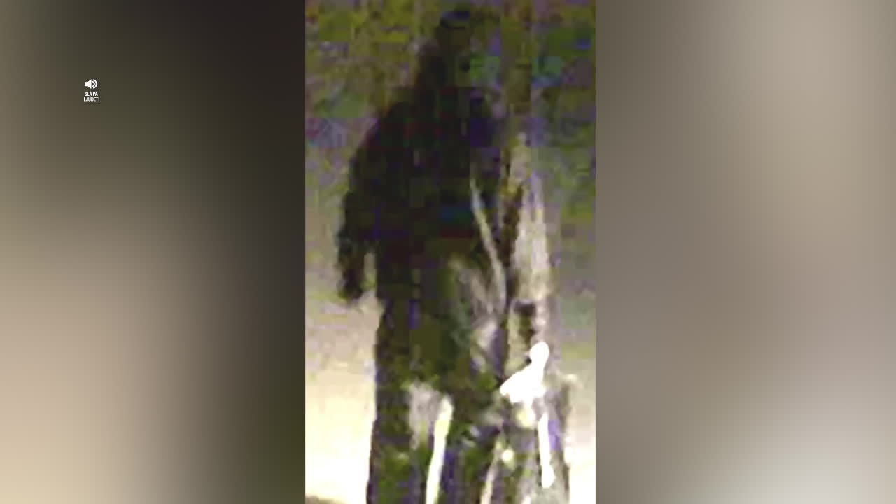 Danska polisen söker mörkklädd man efter sprängdåd