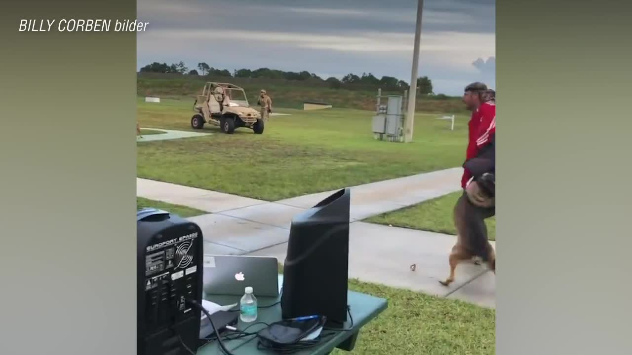 Märkliga videon när hundarna attackerar Kaepernick-tröja