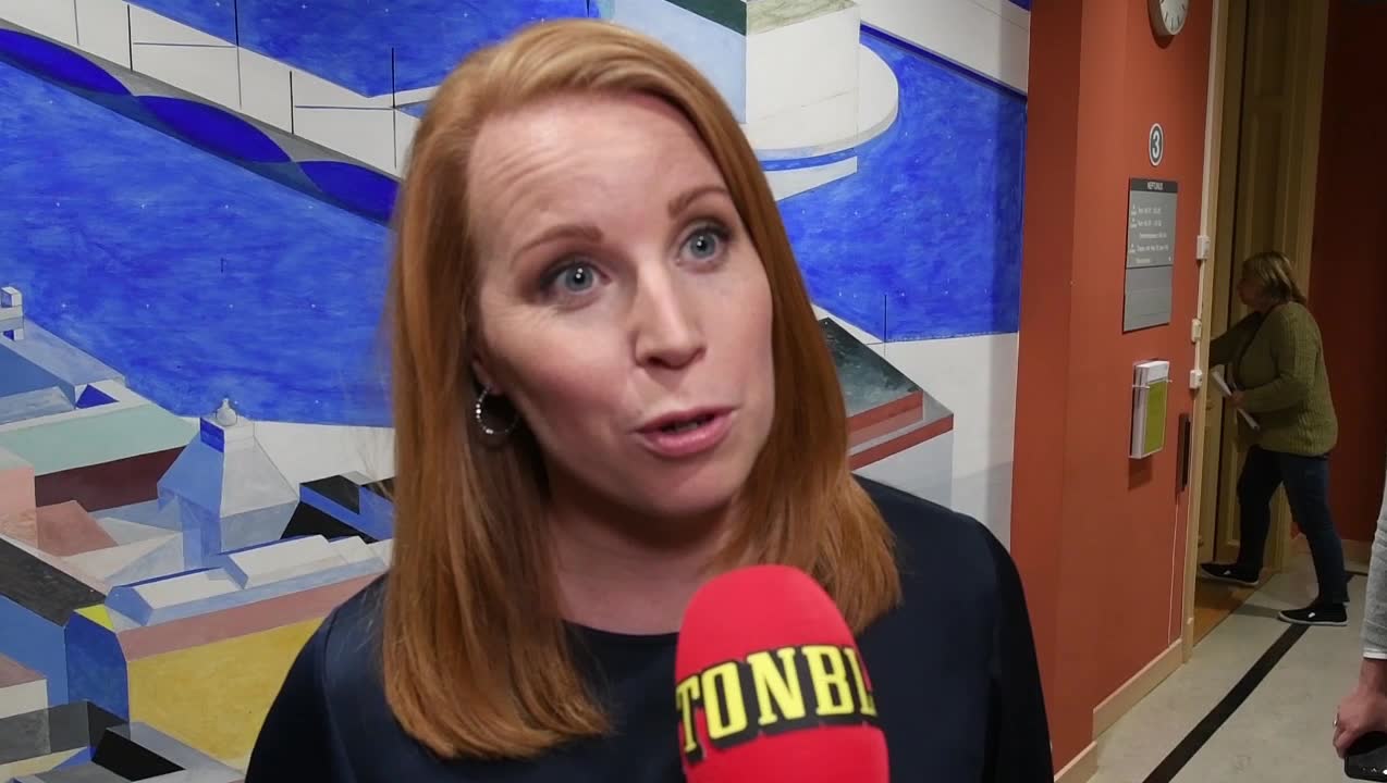 Lööf (C): ”SD ska inte ha något inflytande”