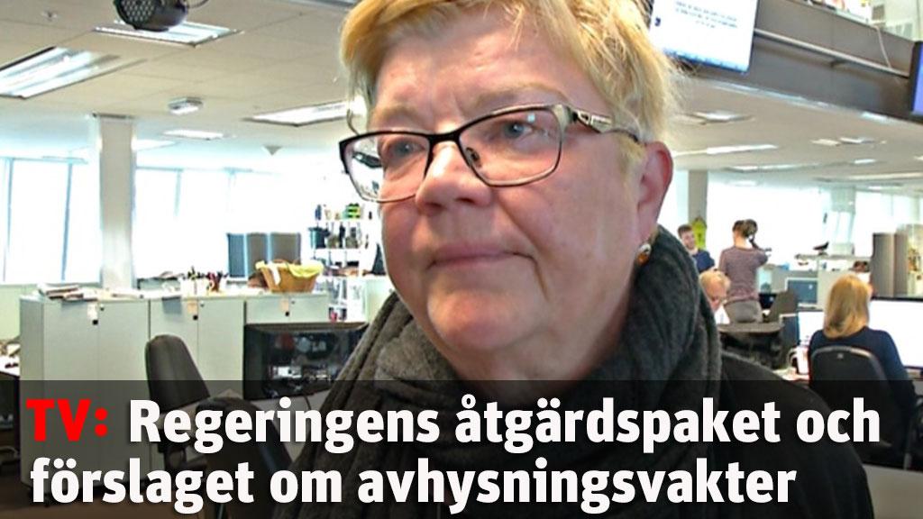 "Förenklat att bara prata om eget ansvar"