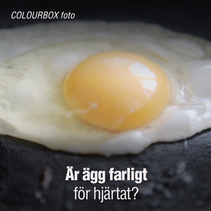 Hur farligt är ägg för hjärtat?