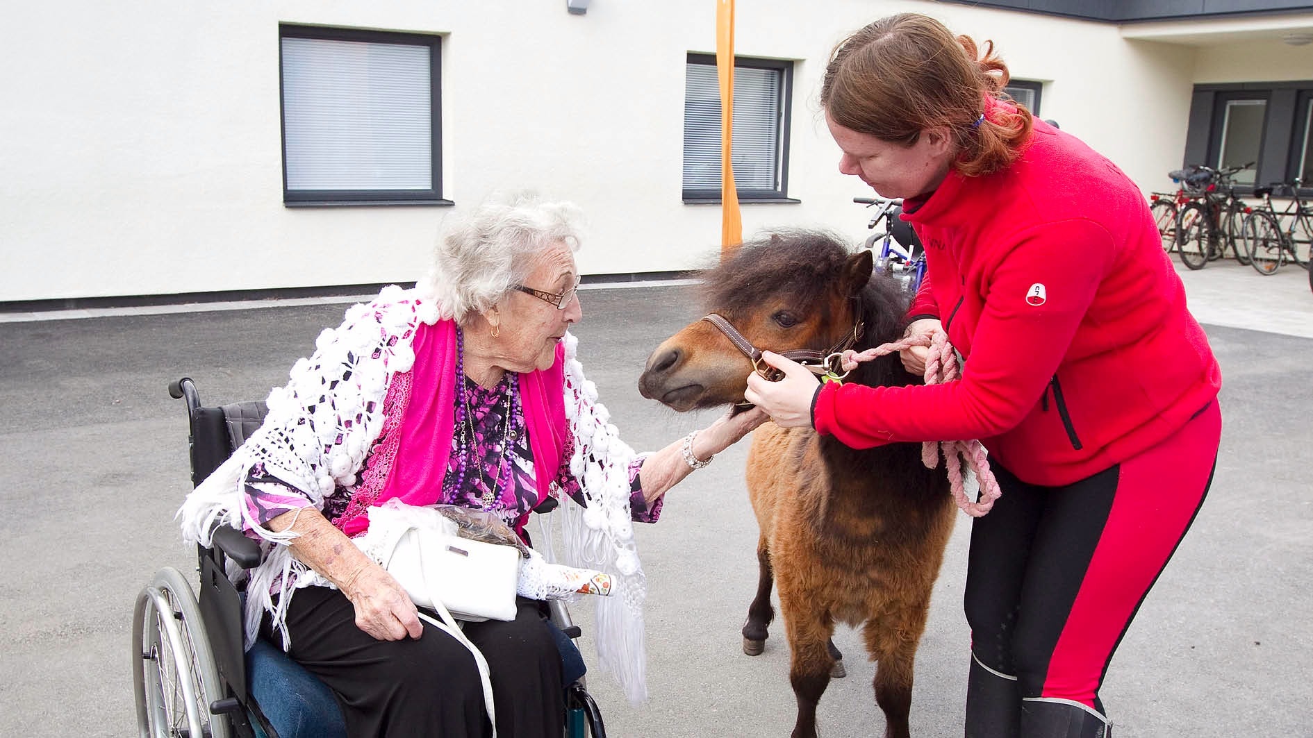 Ponnyn Allys sprider glädje på äldreboendet