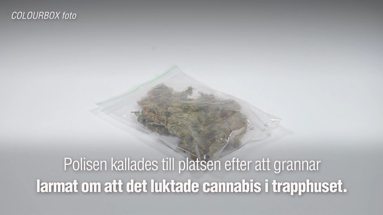 Grannar larmade om cannabislukt – polisen grep dokusåpakändis